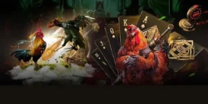 Tuyệt Chiêu Chơi Đá Gà GA28 Tại WinBet Bất Bại Từ Chuyên Gia