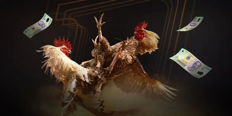 Đá Gà WinBet 1 Bật Mí Chiến Thuật Bất Bại Khi Chơi Đá Gà WinBet 2025