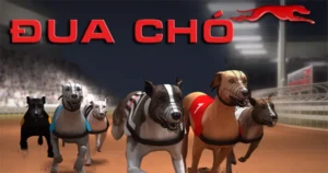 Bật Mí Cách Chơi Game Nhanh Đua Chó Tại WinBet Thắng Lớn