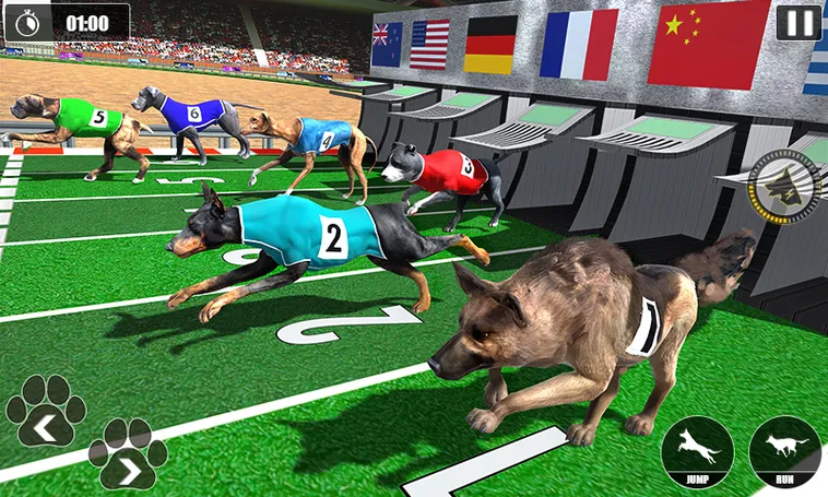 Bật Mí Cách Chơi Game Nhanh Đua Chó Tại WinBet Thắng Lớn 2 Bật Mí Cách Chơi Game Nhanh Đua Chó Tại WinBet Thắng Lớn