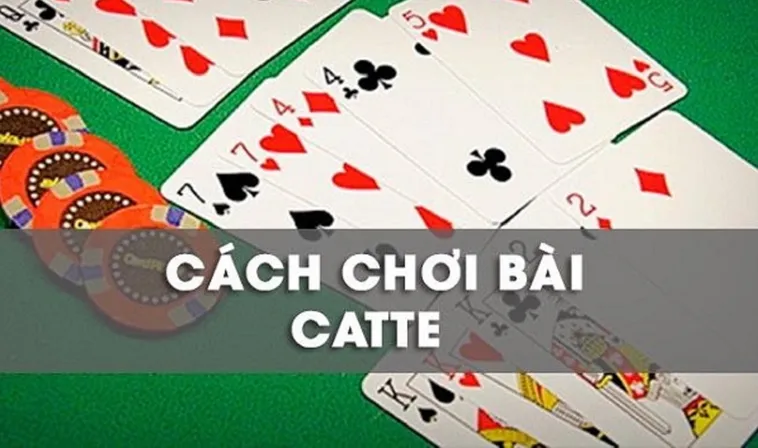Hướng Dẫn Chơi Sắc Tê WinBet Từ A Đến Z Cho Tân Binh 2 Hướng Dẫn Chơi Sắc Tê WinBet Từ A Đến Z Cho Tân Binh